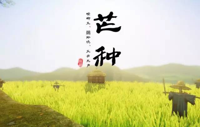 芒種！